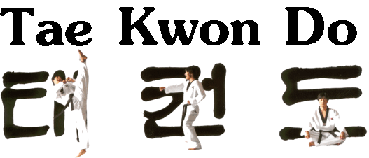 Terminología del taekwondo